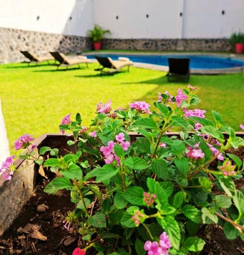 Tres de Mayo House | Casa Adonai