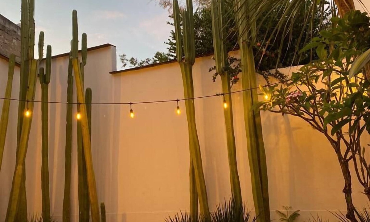 San Felipe Bed & Breakfast | Casa Mayo
