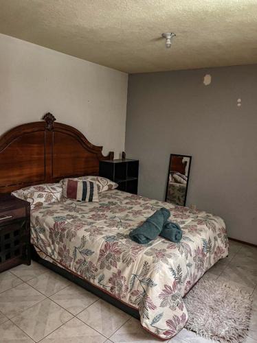 Leon Bed & Breakfast | HOMS - Ubicación inigualable - Hospédate como en casa