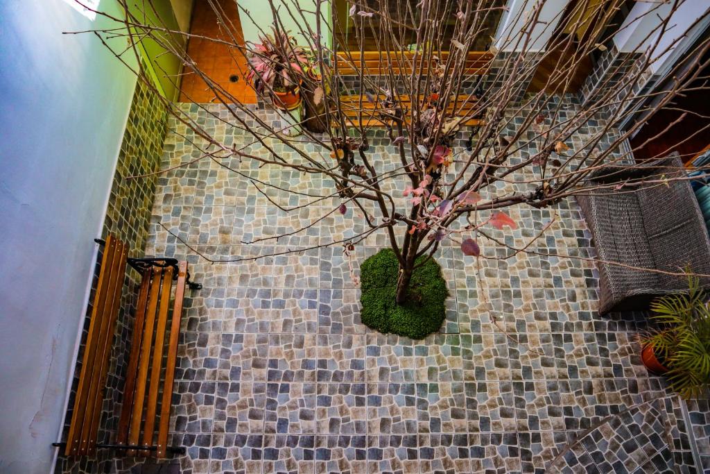 Rosaspata Apartment | Inka City Hostel