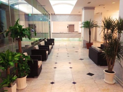 Koniya Hotel | Libest Inn Amami