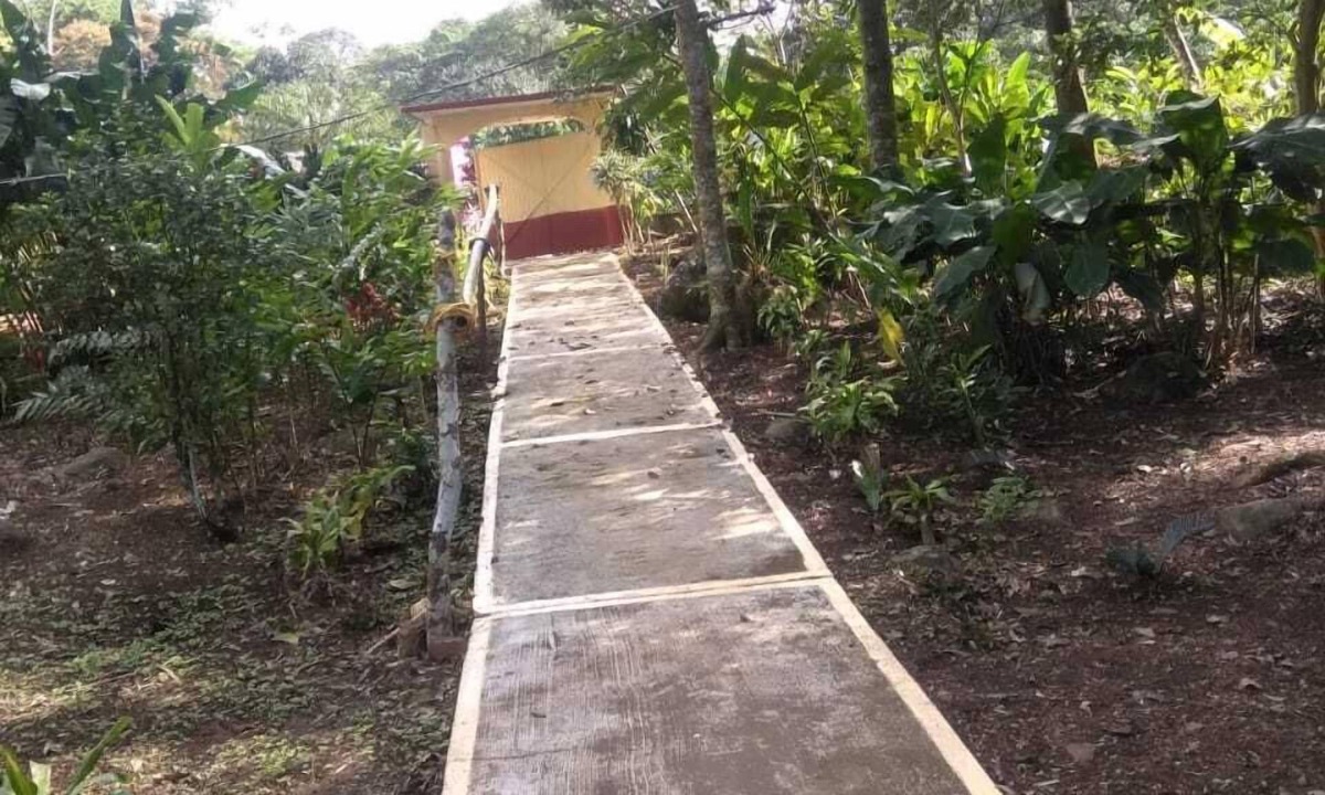 Catemaco House | Nice House Natural
