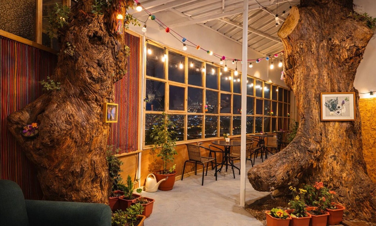 Cusco Historic Center Apartment | Private Panoramic Viewpoint-Apartment with natural trees
