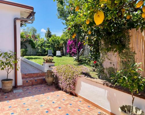Procida House | Profumo di Limoni Vacation Rental