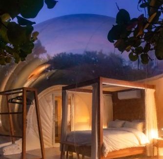 Playa Paraiso Hotel | Astral Tulum