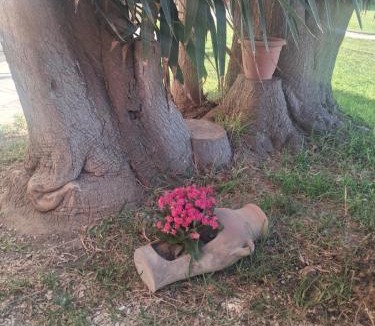 Paceco Bed & Breakfast | B&B Villa Amodeo