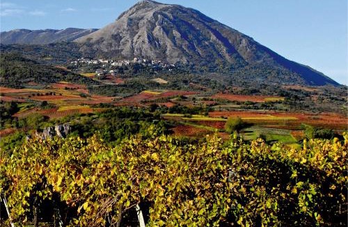 Torrecuso Bed & Breakfast | B e B LEMI