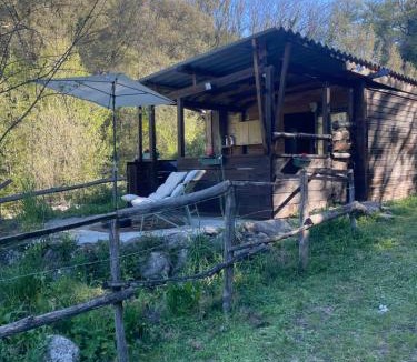 Olivese House | Cabane