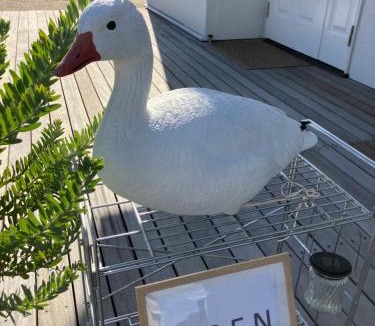 Ogata Hotel | Cafe & Stay Flyway