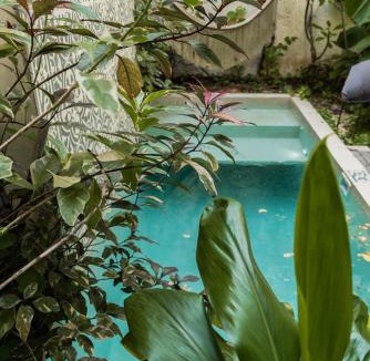 Tulum City Center Apartment | Casa Bohemia