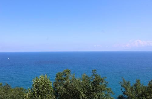 Pizzo House | Ellysblue