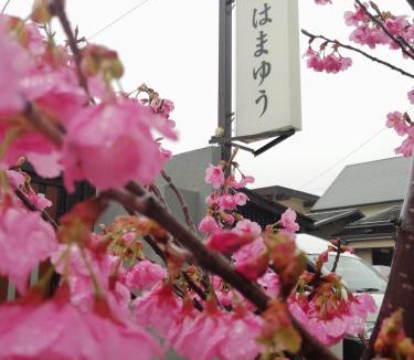 Katase Onsen Hotel | Hamayuu