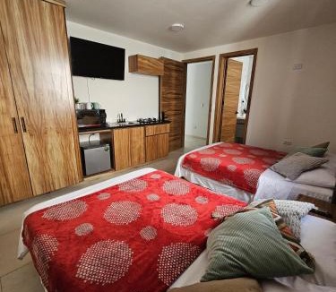 Aguascalientes Hotel | Hotel Azalea Rooftop