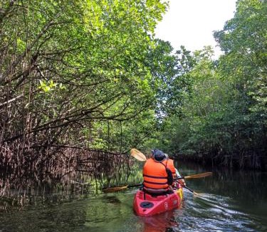 Huai Nam Khao Other | Krabi Floating Glamping