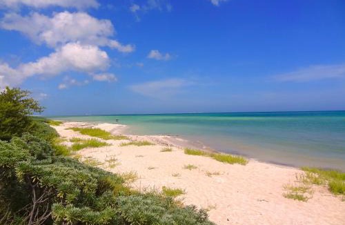 Chicxulub Puerto House | Lemnus Luxury villa walking distance to Chicxulub