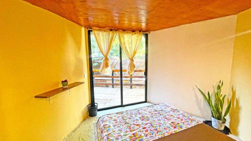 Tulum City Center Hotel | Mr Pakal Tulum