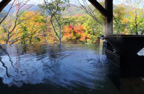 Kinugawa Onsen Hotel | Nanaeyae