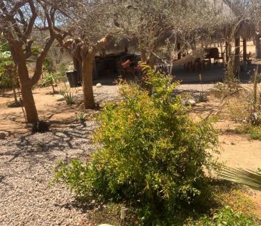 Jimenez Other | Rancho Escondido