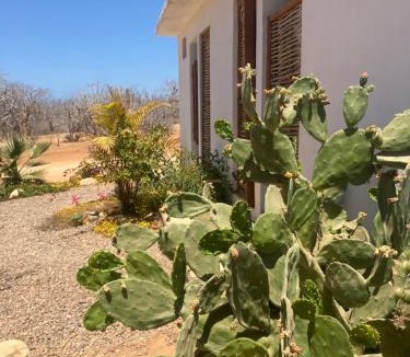 Jimenez Other | Rancho Escondido