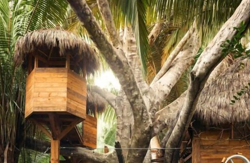 Lo de Marcos House | Right On The Beach! Balcony, Outdoor Pools, Free Breakfast, Free Parking!