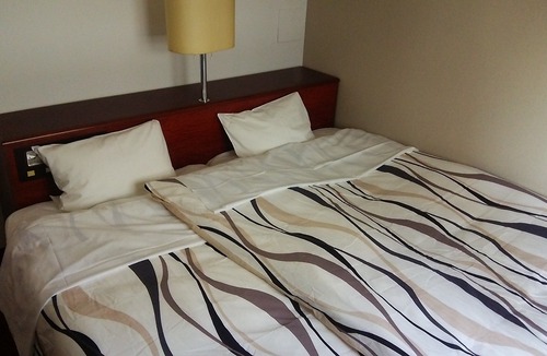 Saijo Hotel | Saijo Central Hotel