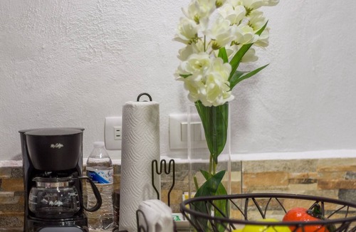 Centro Apartment | Studio w/shared plunge pool, Netflix, etc. .9 mi. from central sq.