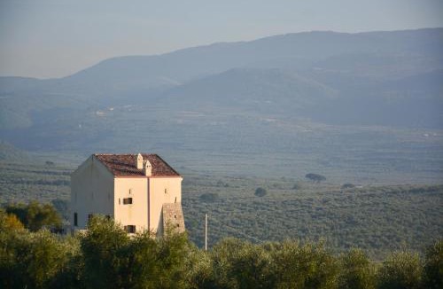 Carpino House | Torre Bruno