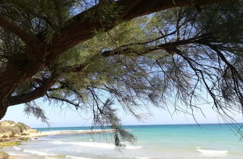Lendinuso Apartment | Tra Vento e Mare