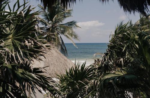 Zona Hotelera Hotel | Tuup Tulum