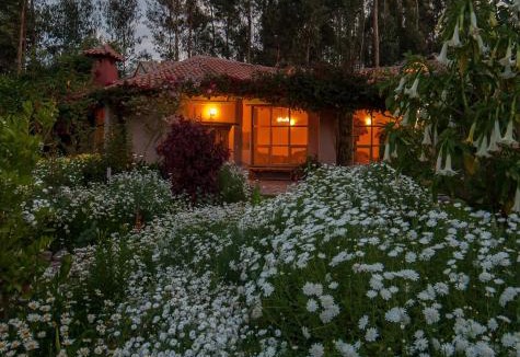 Urubamba Hotel | Willka T'ika
