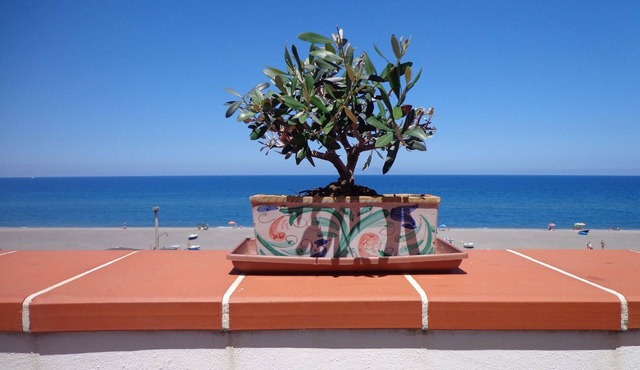 Charming flat in Marchesana with terrace