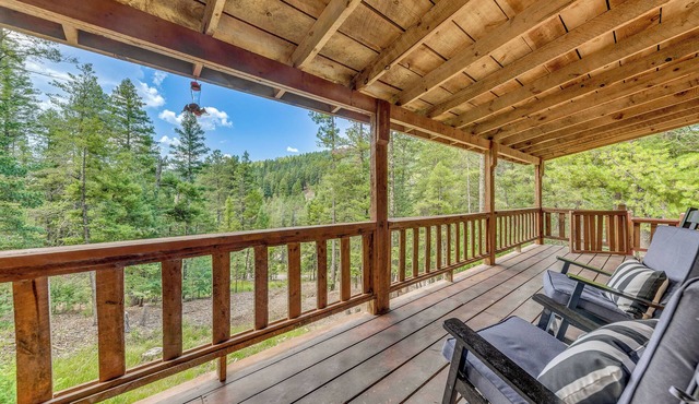 Cloudcroft Mountain Retreat ~ 5 Mi to Skiing!