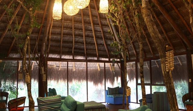 Ecovergel Riviera Maya Hotel Boutique