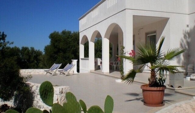 idyllically situated, modern holiday house,sea view, hillside situation, Pool