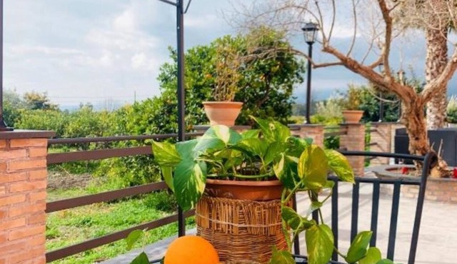 La Pomelia B&b Sofia - La Foresta