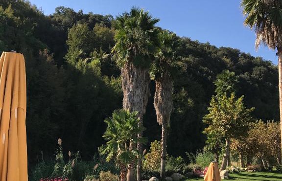 la source