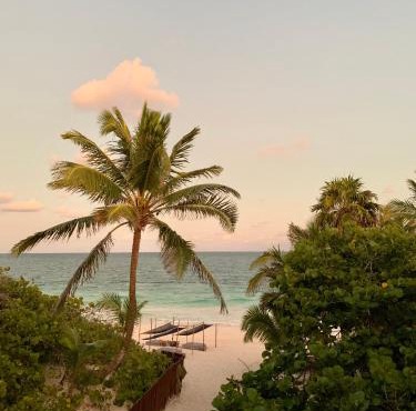 Libelula Tulum Beachfront Hotel