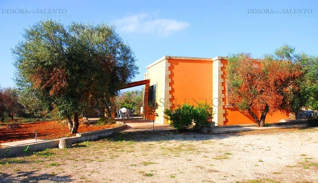 Lodge