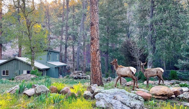Riverside Hideaway: Peaceful Forest Cabin with Private River & Red Rock Views