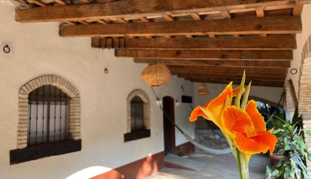 Rustic House in the Tehuacan-Cuicatlan Biosphere Reserve