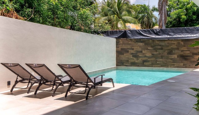 Shared pool, BBQ and centrally located to everything!