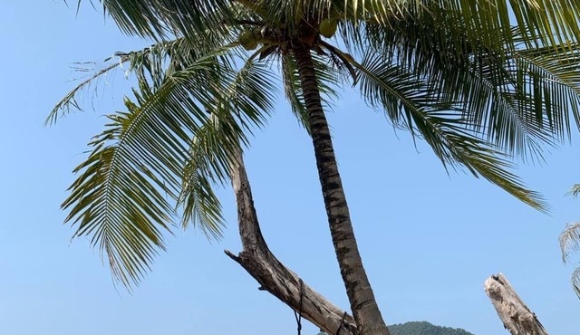 Spacious luxury villa with private pool, gardens on Koh Chang, Thailand
